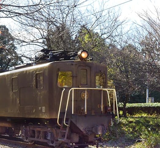 大井川鐵道の電気機関車,紅葉時期の写真